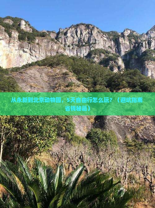 永新去北京动物园自由行