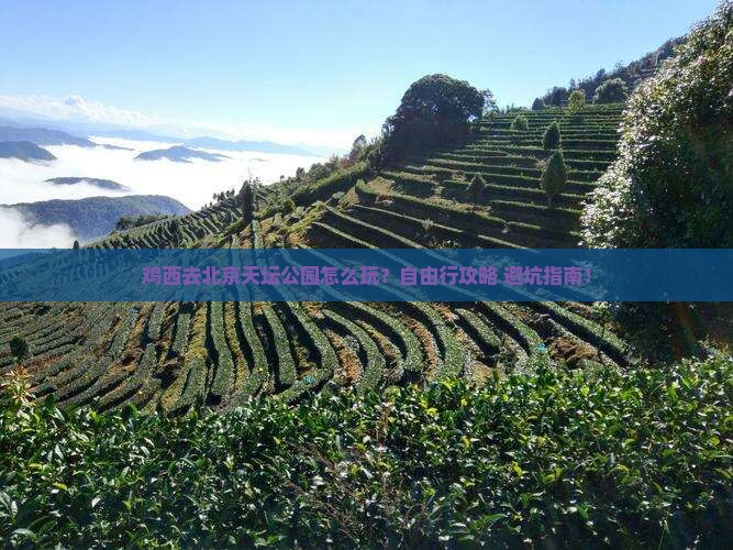 鸡西去北京天坛公园自由行