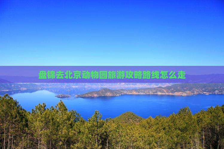 盘锦去北京动物园旅游