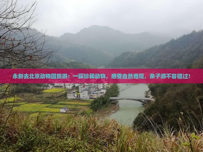 永新去北京动物园旅游
