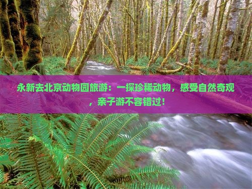 永新去北京动物园旅游