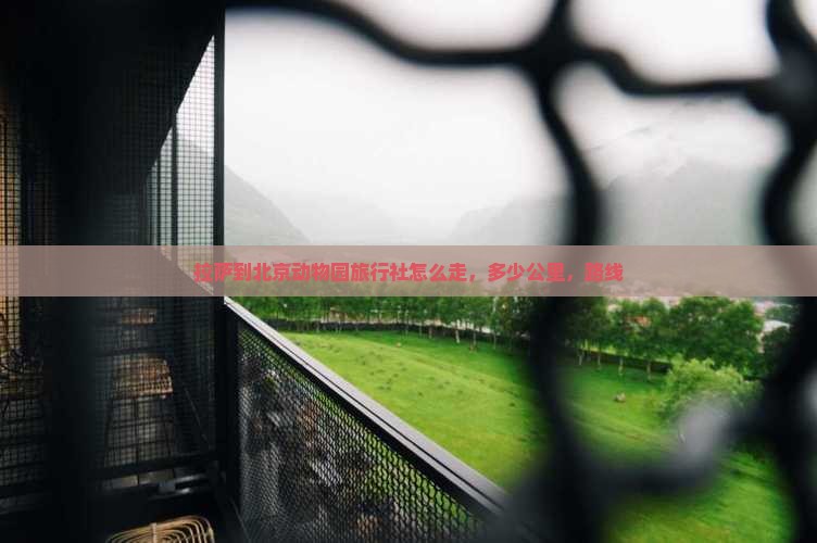 拉萨到北京动物园旅行社