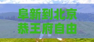 阜新到北京恭王府自由团