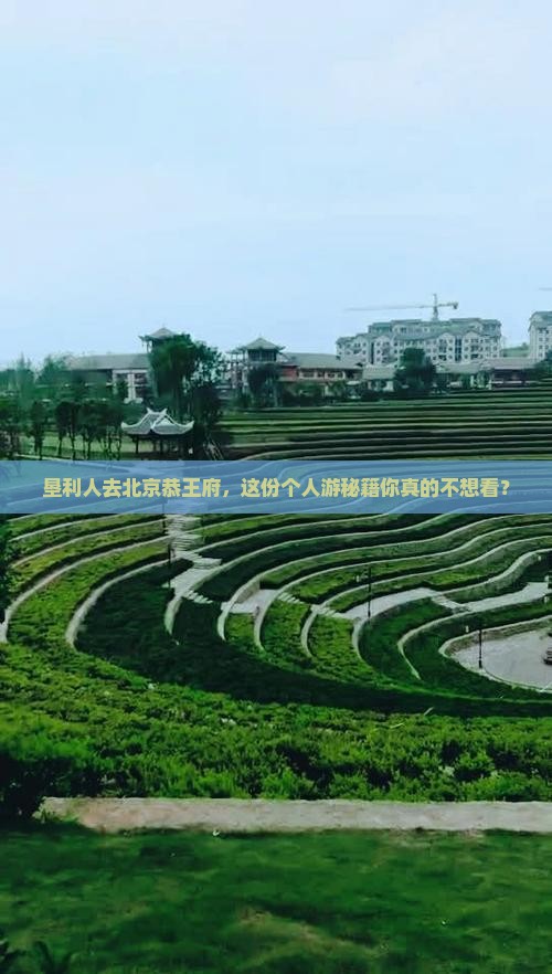 垦利去北京恭王府个人游