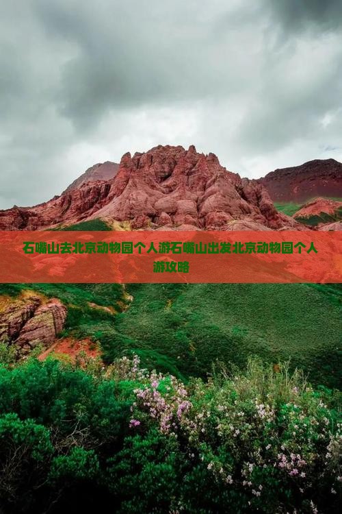 石嘴山去北京动物园个人游