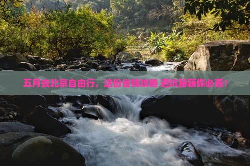 五月到北京自由团