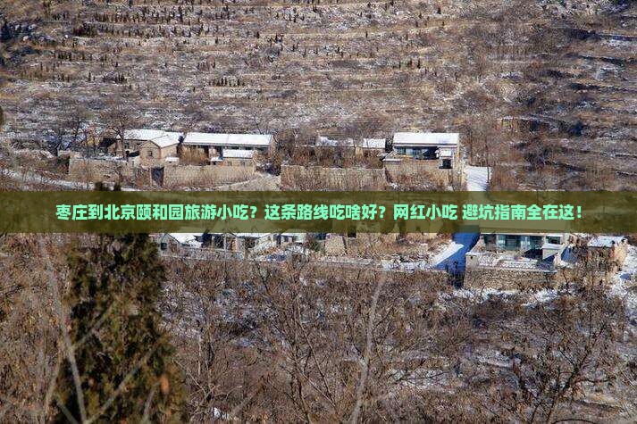 枣庄到北京颐和园旅游小吃