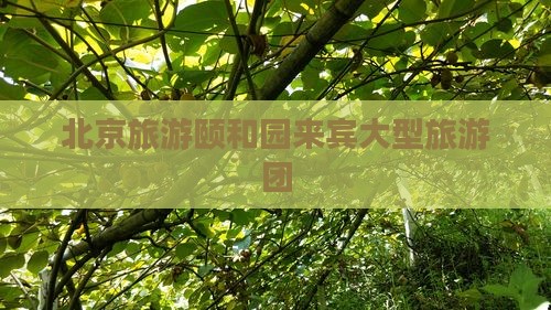 来宾到北京颐和园大型旅游团