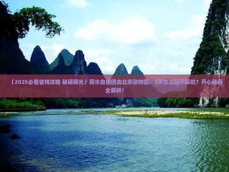 丽水去北京动物园自由团