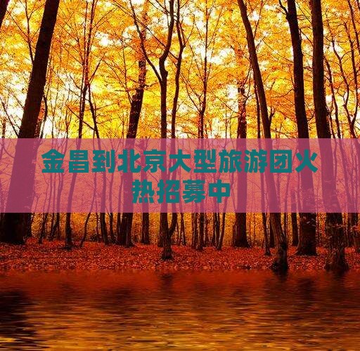 金昌去北京大型旅游团
