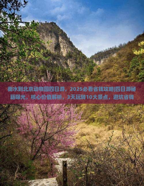 衡水到北京动物园四日游