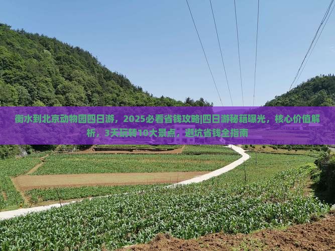 衡水到北京动物园四日游