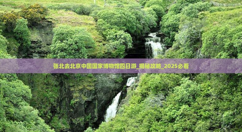 张北去北京中国国家博物馆四日游