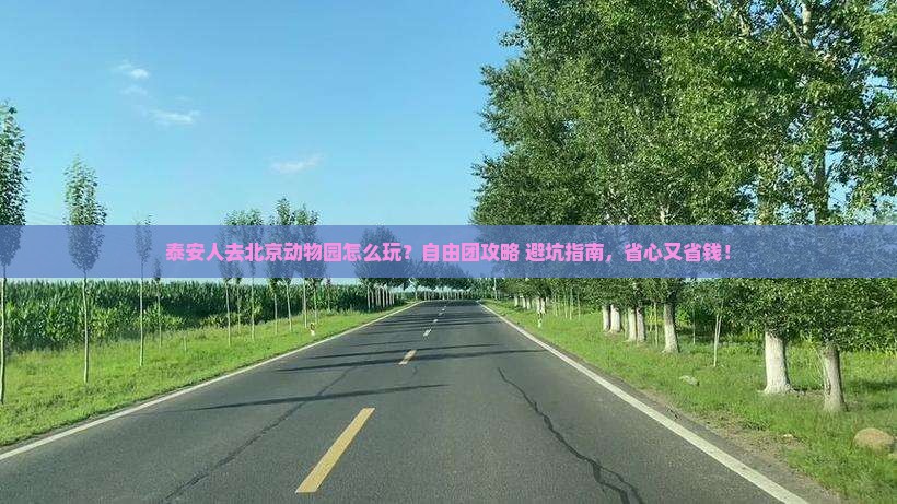 泰安去北京动物园自由团