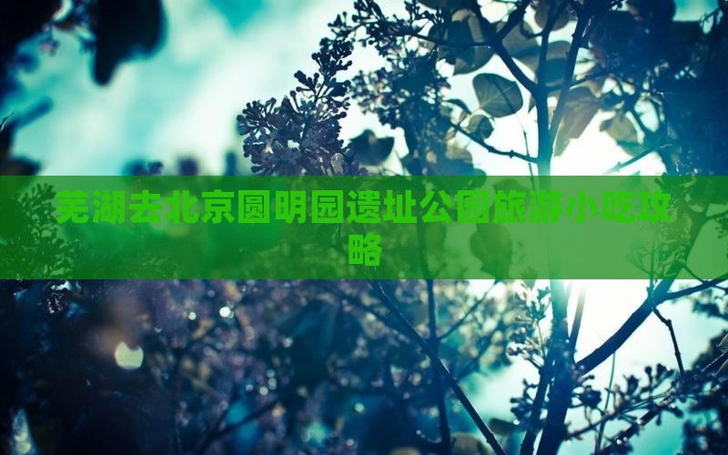 芜湖去北京圆明园遗址公园旅游小吃