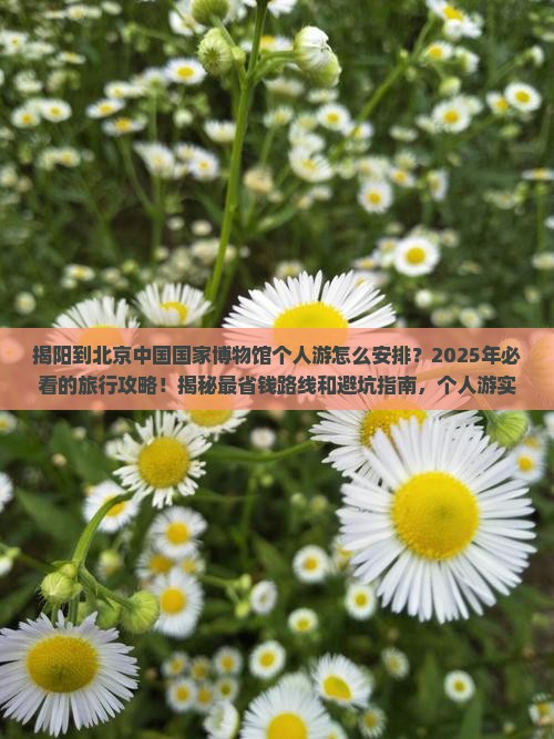揭阳到北京中国国家博物馆个人游