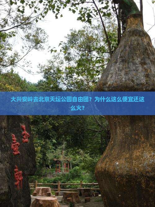 大兴安岭去北京天坛公园自由团