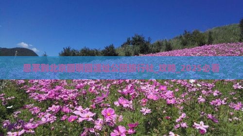 思茅到北京圆明园遗址公园旅行社