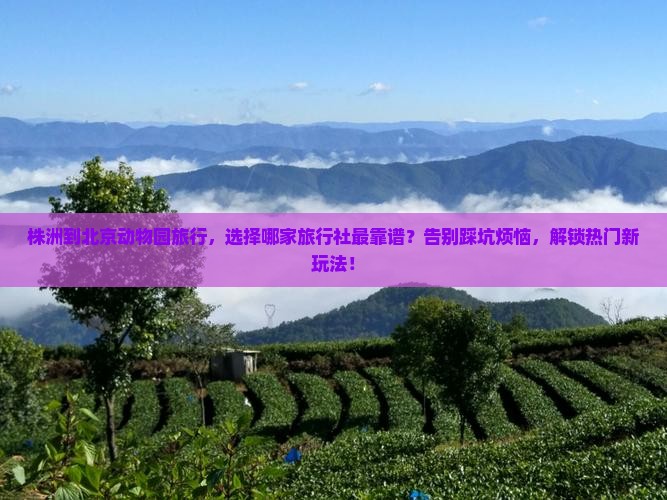 株洲到北京动物园旅行社