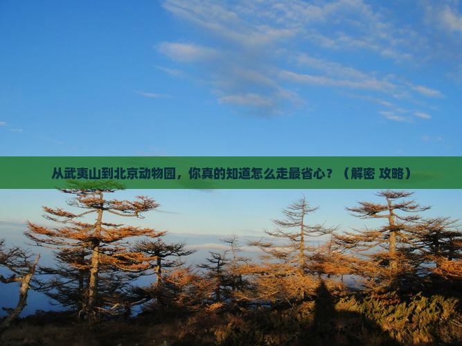 武夷山到北京动物园攻略