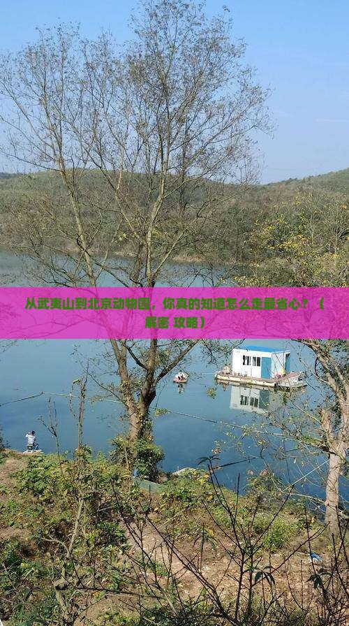 武夷山到北京动物园攻略