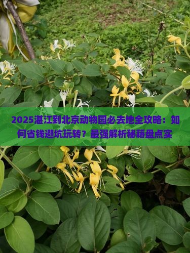 湛江到北京动物园必去地
