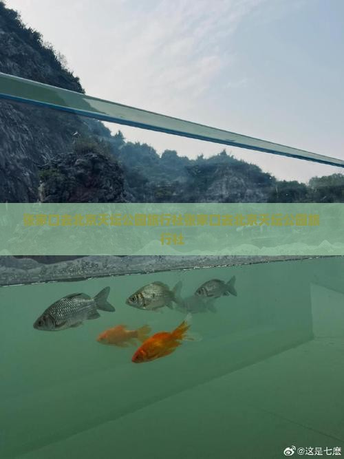 张家口去北京天坛公园旅行社