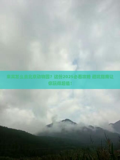 来宾到北京动物园景点