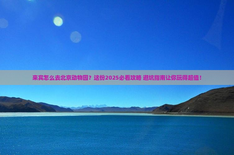 来宾到北京动物园景点