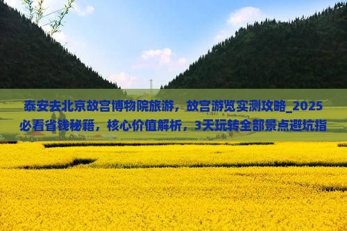 泰安去北京故宫博物院旅游