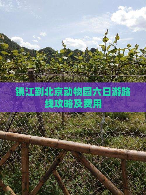 镇江到北京动物园六日游