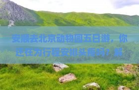 安顺去北京动物园五日游