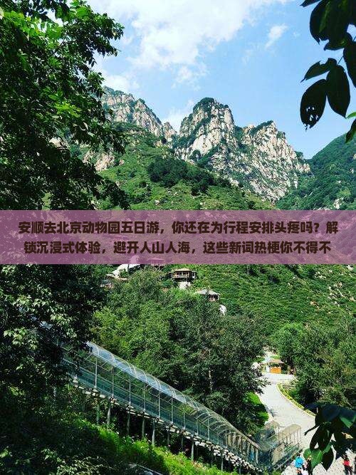 安顺去北京动物园五日游