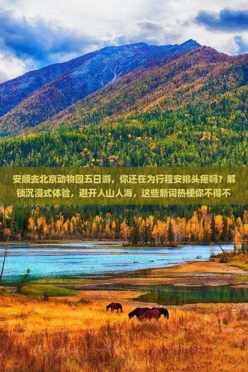 安顺去北京动物园五日游
