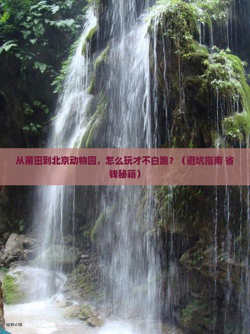 莆田去北京动物园哪里玩
