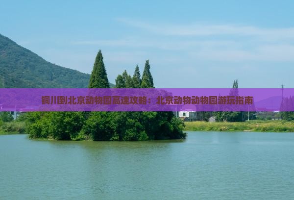 铜川到北京动物园哪里玩