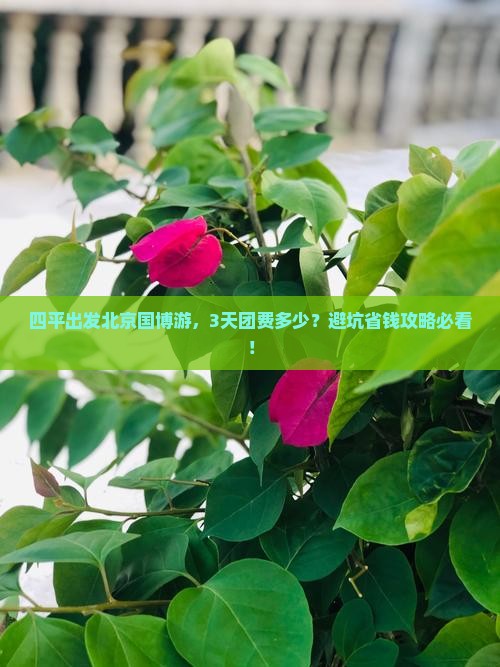 四平到北京中国国家博物馆大型旅游团