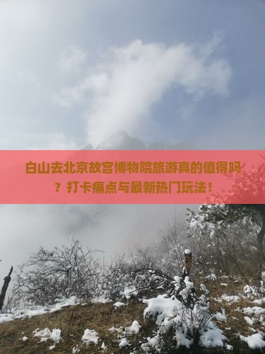 白山去北京故宫博物院旅游