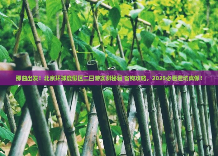 那曲去北京环球度假区二日游