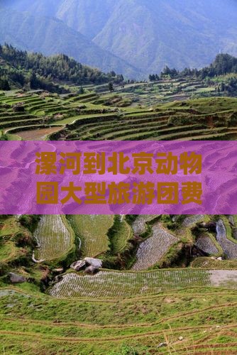 漯河到北京动物园大型旅游团