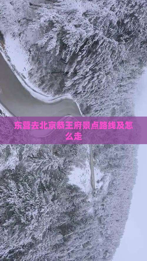 东营去北京恭王府景点