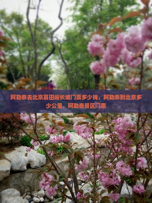 阿勒泰去北京慕田峪长城门票