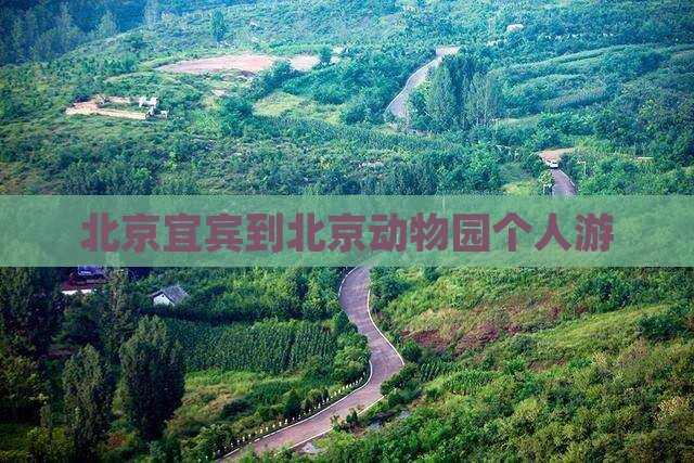 宜宾到北京动物园个人游