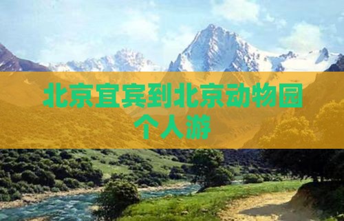 宜宾到北京动物园个人游