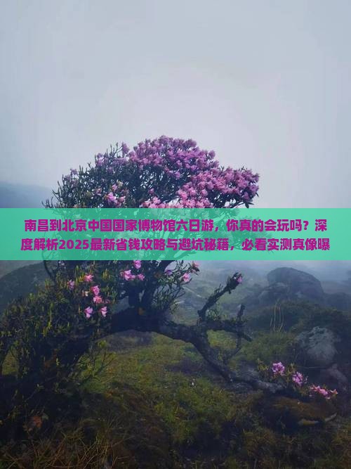 南昌到北京中国国家博物馆六日游