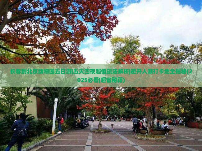 长春到北京动物园五日游
