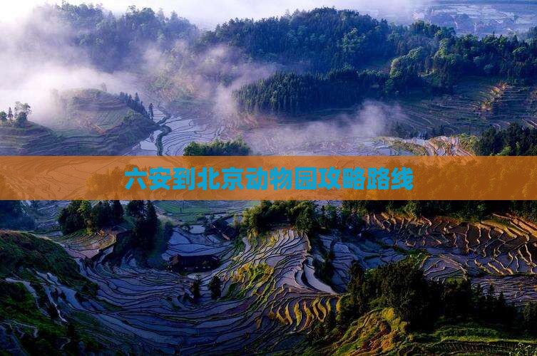 六安到北京动物园攻略