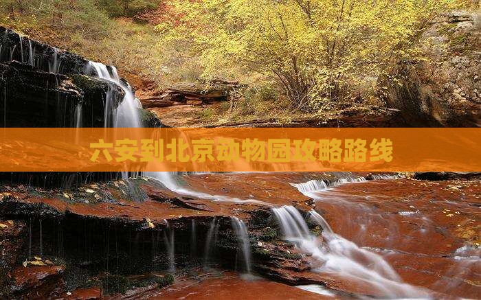 六安到北京动物园攻略