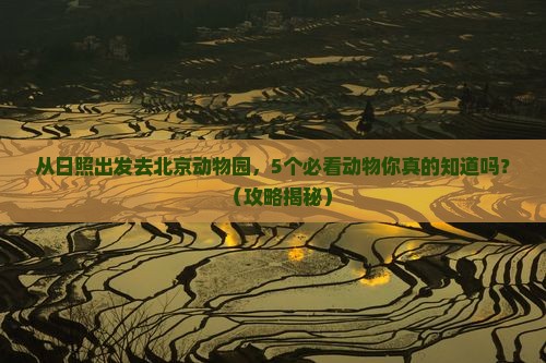 日照去北京动物园旅游