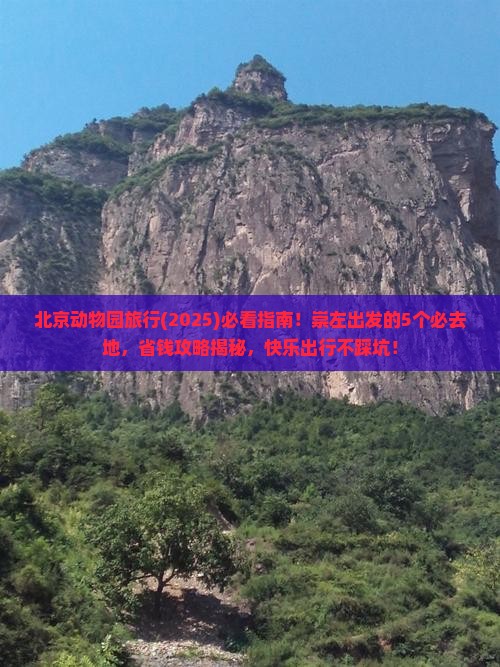 崇左到北京动物园必去地